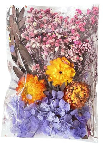 CJQRL Fleurs Séchées, Fleur Sechees Decoration, Fleurs Sechees Naturelles, Fleurs Séchées Naturelles, pour Scrapbooking Bougie Bricolage Résine Époxy Floral Fabrication Artisanale(Violet)