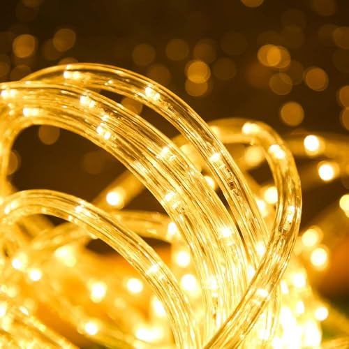 LY Sweden LED Lichtschlauch, 15m Länge, Außenbereich, Warmweiß 2200K, IP65 Wasserdicht, Dimmbar, PVC-Rohr, 540 LEDs, 4m Anschlusskabel, Ganzjährig, Garten & Terrasse