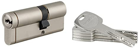 Cylindre de Serrure 30x50mm TRANSIT 1 - Système de Sécurité Finition Nickel - Usage Porte d'Entrée - Fabriqué en France - Livré avec 4 Clés Plates Réversibles - Garanti 10 Ans - THIRARD