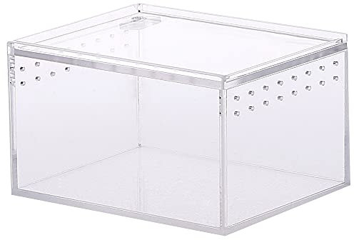Terrarium Box, Reptilienzuchtbox, Fütterungsbox, Transparent Acryl Terrarium BehälterFür Spide, Eidechse, Skorpion, Tausendfüßler, Gehörnter Frosch, Käfer