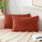 EMEMA Kissenbezug 30x50 cm Herbst Kordsamt Kissenbezüge Dekokissen Sofakissen Cord Kissenhülle Zierkissenbezug Kord Dekorative Weiche für Sofa Wohnzimmer Schlafzimmer 2er Set Karamell