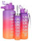 PNJB 3 Pcs Drinking Bottle with Convenient Straw Set, Leakproof and Portable 2L, 700ML, 300ML, Equipped with Time Markings and Motivational Quotes, (Purple)