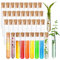 Acetiti 36 Stück Mini Glas Reagenzgläser mit Korken, 12x75mm Transparent Reagenzgläser Laboratorien Reagenzgläser für Blumen Hochzeits Süßigkeiten Badesalz Gastgeschenk Deko