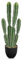 Oairse Plante artificielle de cactus - Grande plante artificielle en pot - Décoration de figue cactus Euphorbia Accruensis Cactus artificiel pour la maison, le jardin, le bureau, type 3