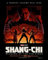 Shang-Chi and the Legend of the Ten Rings Poster 30 x 40 cm