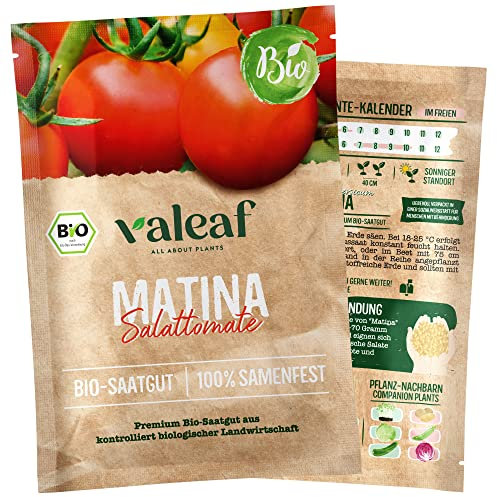 valeaf BIO Tomaten Samen I Premium Tomatensamen zur Tomaten Anzucht im Garten, Balkon und Hochbeet I samenfestes Tomaten Saatgut I Pflanzen Samen zum Tomaten Pflanzen (Matina - Salattomate (BIO))