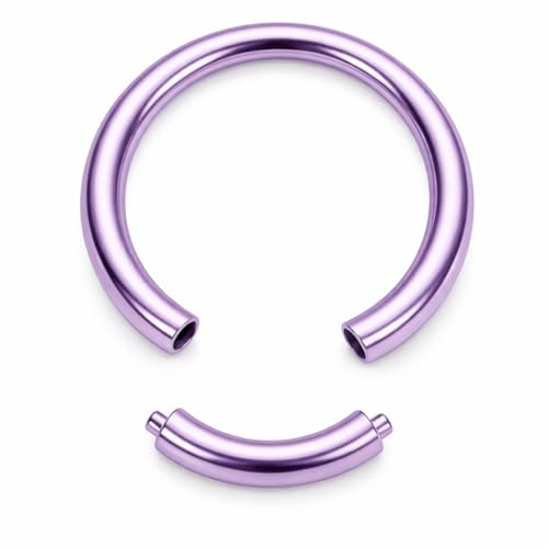 Generisch TITAN G23 SEGMENTRING Piercing Ring Segment EDELSTAHL CHIRURGENSTAHL 316L Nase Septum Ohr Helix Lippe Augenbraue Intim Brust Tragus Piercingring Nasenring Hoop