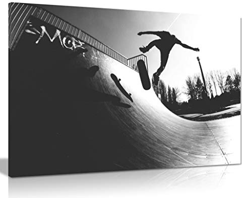 Panther Print 5060694369468 Druck auf Leinwand, Skateboard, 61x41 cm (24x16in)
