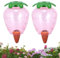 BTBHIHO Lot de 2 Grandes Boules d'irrigation, Bouteille d'arrosage Conique de 500 ML, système d'arrosage Automatique, Distributeur d'eau, arrosage des Plantes, Boules Transparentes festives (Fraise)