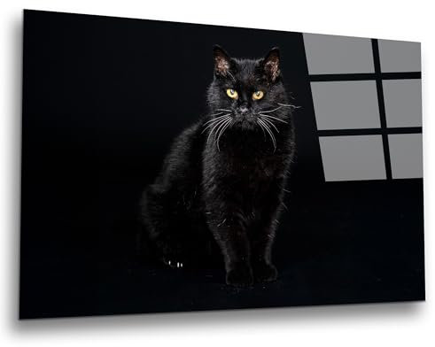 INDIGOS UG Luxus Glasbild - schwarze Katze - 80x50 cm - ESG Echtglas bedruckt - Glasdruck - Wohnzimmer, Küche, Schlafzimmer, Badezimmer - Geschenk - Deko, Wandbild