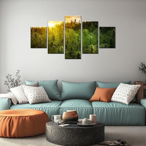Marijuana Plants Wall Art Sunset Cannabis Field Wall Decor Farmhouse Landscape Paintings Posters Marijuana Plant Canvas Print Pictures Framed Home Living Room Bedroom Decorations(60''Wx32''H)