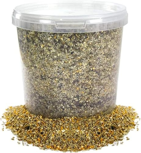 BusyBeaks Robin & Songbird Feed | Premium Grade Garden Wild Bird Feed | Husk Free, No Germinating Seeds | Includes Nutritious, Fresh and Natural Ingredients | Protein Fat Fibre Oil Vitamins (5L Tub)