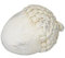 RiloStore 2 STK Deko Nuss Eichel Creme Weiss 8x6cm Früchte Eicheln ps110 Kunstharz Zapfen Herbstdeko Weihnachtsdeko Herbst Eicheln Haselnüsse EDEL Tischdeko