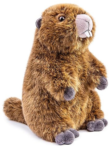 lilizzhoumax Murmeltier Plüsch Kuscheltier 25cm/10Zoll Kawaii Niedlich Realistische Spielzeug Wilde Tiere Ostern Geschenk für Kinder Jungen Mädchen braun Alter 4 5 6 7 8