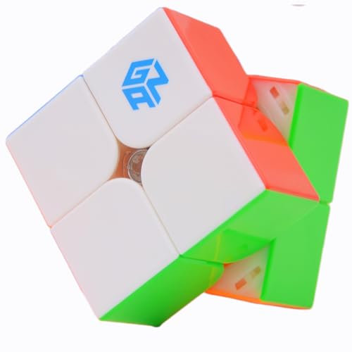 Bukefuno GAN 251 M Leap UV 2x2 Magnetwürfel Gans Mini Speed GAN 251 Leap 63 2x2 Aufkleberlose Magnete Magic Puzzle (UV-beschichtet primär intern)