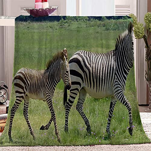 SJSXWQN Kuscheldecke Graues Zebra Kuscheldecke Flauschig Extra Weich Warme Mikrofaser Wohndecke Fleecedecke als Tagesdecke Sofadecke Couchdecke Bettüberwurf - 180x220 cm