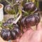 tomatensamen alte sorten balkon pflanze bio saatgut seltene pflanzen tomaten samen gemüsepflanzen pflanzen winterhart draußen alte gemüsesorten samen hochbet samen gemüse alte sorten 400pcs