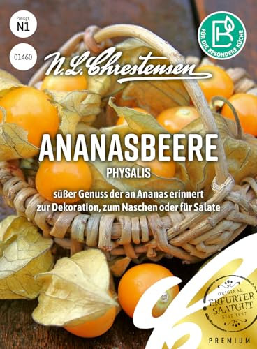 Ananasbeere Physalis N.L.Chrestensen Samen 1460