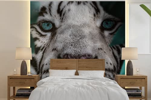 MuchoWow Papier peint Jungle - Tigre - Noir - Blanc Papier peint photo 300x300 cm Papier peint imprimé