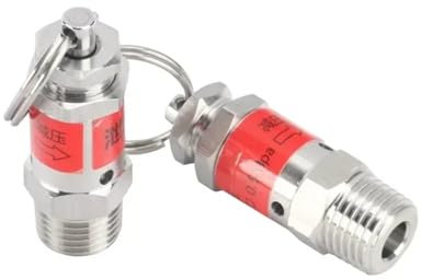 REIUAFWYGV 1/8 1/4 BSPT Male Thread 0.5 1 2 3 4 5 6-10 Bar 304 Stainless Steel Valve Spring Type Pressure(9 Bar,1/8)