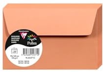 Clairefontaine 55371C - Packung mit 20 Umschlägen Pollen 9x14 cm, 120g, selbstklebend, ideal für Einladungen und Korrespondenz, Premium glattes Papier, Nektar, 1 Pack
