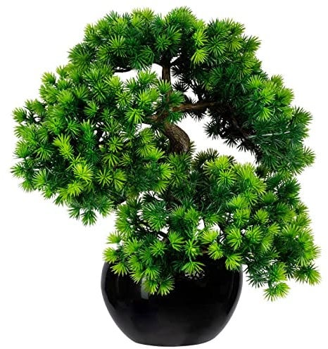 Pflanzen Kölle Künstliche Bonsai-Lärche, Höhe ca. 37 cm