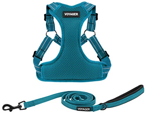 Voyager Step-In Flex Hundegeschirr und reflektierende Hundeleine Kombi-Set mit Neoprengriff 1,5 m lang, unterstützt kleine, mittlere und große Rassen Welpen, Türkis (mit Leine), M