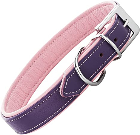 Schnüffelfreunde Lederhalsband Fun Line - Hundehalsband für den großen, mittleren und kleinen Hund - Halsband für Hunde aus Leder - gepolstert & robust (S - 24-30cm, Lila-Rosa)