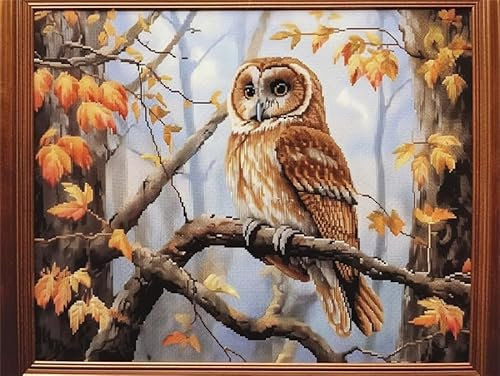 AMBATTERY Knüpfkissen Fantasie-Eule Kreuzstich-Knotenteppich，Häkelteppich Für Anfänger，DIY-Teppich-Stickset Für Erwachsene Und Teenager 35x46in