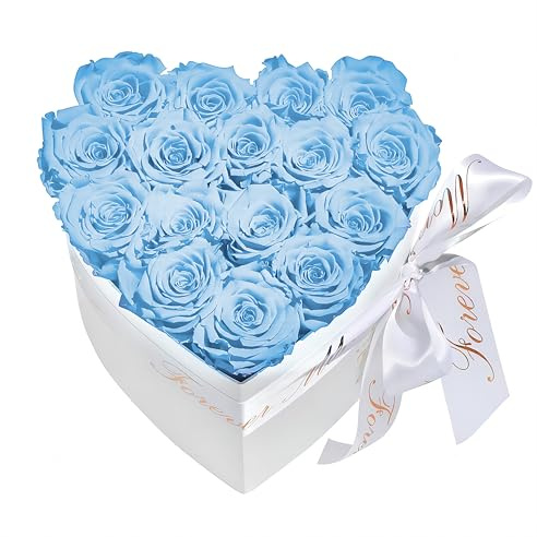 FORTTS Konservierte Rosenbox, 18 Stück Echte Rosen für immer Blumen mit herzförmiger Box, Ewige Rose Last 3 bis 5 Jahre für Muttertag Valentinstag Geburtstag Geschenk Party Dekorationen (Himmelblau)