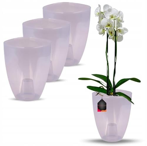 OMAGO® Coprivaso per orchidea, set di 3 pezzi, vaso decorativo grigio semitrasparente, coprivaso moderno per fiori