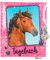 Horses Dreams 8936.001 Tagebuch, pink