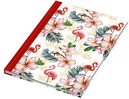 RNKVERLAG 46750 - Kladde / Notizbuch „Flamingo rot“, dotted, DIN A5, 96 Blatt, 70 g/m², 1 Stück