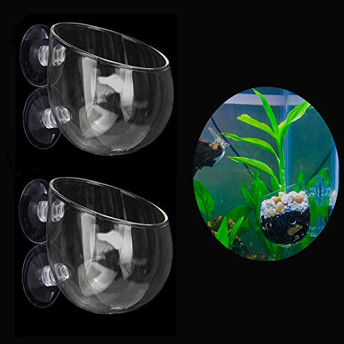 Ailinda 2PCS Crystal Glass Aquatic Plant Cup Pot Holder with Suction Cups for Fish Tank Aquarium Decor