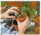 Cactus & Succulent Soil - 5.5 Litres Peat Free Cactus Potting Compost - Hydrate at Home