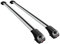 Apline Kompatibel mit BMW X5 (E70) 2007-2013 ACE-1 Relingträger Dachträger Auto Gepäckträger Grau Aluminium 2 Stangen