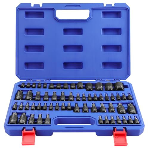 WORKPRO Jeu de 60 Douilles Torx, Torx Intérieur et Extérieur 1/4, 3/8 et 1/2, Coffret Douilles en Acier S2, T6-T70, TT6-TT70, TP8-TP60, E4-E24, Acier Chrome Vanadium, avec Boîte de Rangement
