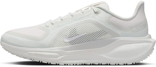Nike Pegasus 41 Gore-TEX Wasserdichter Straßenlaufschuh für Herren, FQ1356