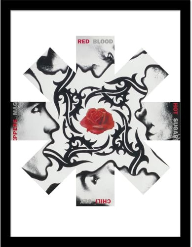 Pyramid International Red Hot Chili Peppers (Rose) Sammlerdruck – 30 cm x 40 cm Wandkunst-Poster – Offiziell lizenziertes Musikdekor – Einheitsgröße