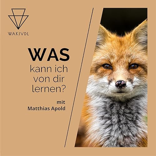 Wakivdl - Was kann ich von dir lernen?