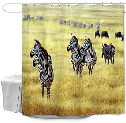 Odot Rideau de Douche Anti Moisissure Impermeable, Motif Zèbre Rideaux de Douche Rideaux de Salle de Bain avec Crochets, Lavable en Machine (150x180cm,Zèbre dans Les prairies)