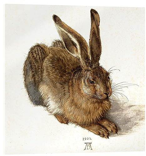 Posterlounge Hase Acrylglasbild | 30 x 30 cm von Albrecht Dürer Braun Wandbilder Wanddeko