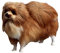 HOMSFOU 1 Stück Für Ausgestopfte Hunde Für Kinder Plüsch-Babyparty-Dekoration Desktop-Tierkind Lebensechtes Zwergspitz-Modell Simuliertes Tiermodell Lebendiges Zwergspitz-Modell