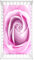Morbuy Spannbettlaken Babybett, Rose Spannbettlaken Kinderbett, Mikrofaser Spannbettlaken für Kinderbett, Stubenwagen Bezug Kinderwagen Matratzenbezug (Rosa Rose,95x65cm)