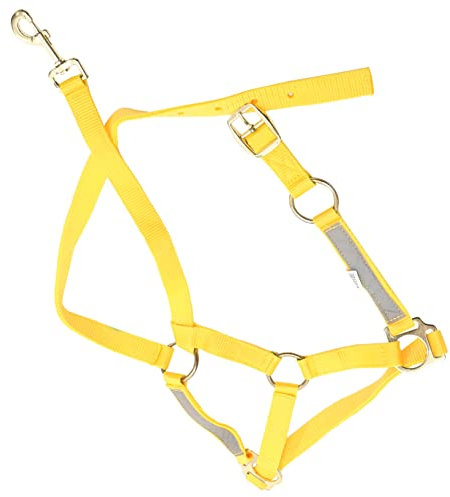 TOKIDNY Halfter Für Pferde Reflektierendes Pferdehalfter Neon Praktisches Kopfgeschirr Für Pferde Cob Größe Ideal Für Outdoor Aktivitäten Und Pferdesport