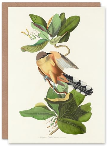 Artery8 John James Audubon Art Card Mangrove Cuckoo and Seven Year Apple Flower