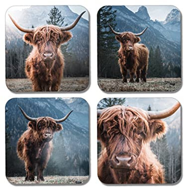 DV DESIGN 4 x quadratische Highland-Kühe Untersetzer – Tiere Rinder schottische Kuh Untersetzer Geschenk #77889