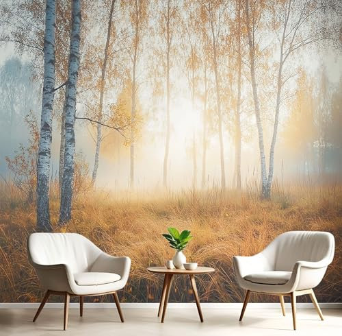 Papier Peint Panoramique 150x105cm (L×H), Paysage D'Automne Avec Bouleaux Et Campagne Papier Peint Tissu De Soie, 3D Effet Décoration Murale Poster, Tableaux Muraux Photo Trompe L'Oeil Ornament