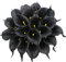 Duovlo 20 x Calla-Lilien, Brautstrauß, Hochzeitsstrauß, Lataex, fühlt sich echt an, künstliche Blume, Heimdekoration, Schwarz