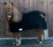 Well Wolldecke Abschwitzdecke Paradedecke Minishetty Mini Shetty Falabella Wolle Schwarz Gold - Farben 65 75 85 95 100 cm Tysons Breeches Cooler (100 cm)